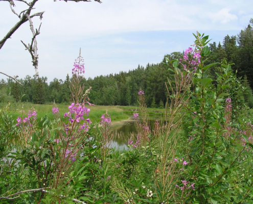 Little Red Deer River Conservation Easement