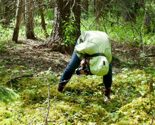 alberta photographer paint pixels legacy land trust society