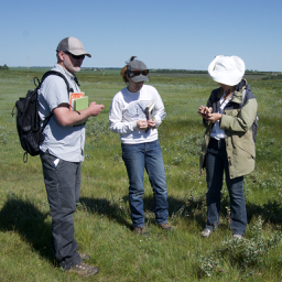 among the wild ones - Exploring native plants