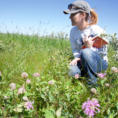 get involved land conservation alberta