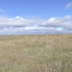 mixed grass prairie with fence