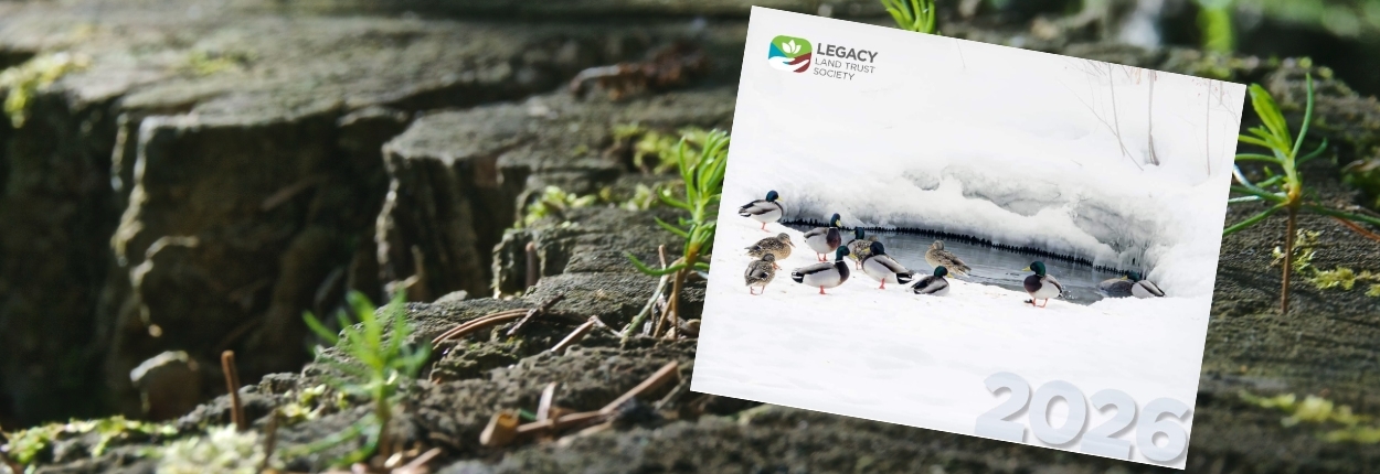 Calendar Slider 2026