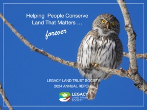 2024 Annual Report