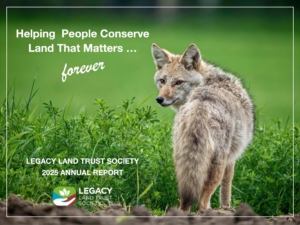 2025 Annual Report Artist on a conservation easement